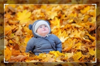 معرفی برنامه های پاییزه مهرمن معرفی برنامه های پاییزه مهرمن