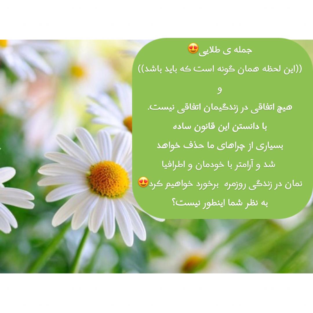 جمله ی طلایی